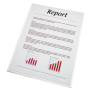 Ofertówki Esselte, obwoluty krystaliczne A4 typ-L 150 mic. 100 szt bezbarwna