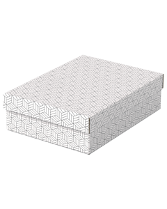 Pudło do przechowywania, tekturowy pojemnik zamykany Esselte, płaskie, rozmiar M, 3 sztuki, białe