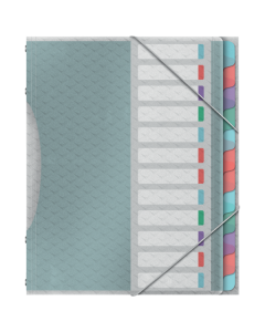 Teczka z przegródkami, segregująca teczka na dokumenty Esselte Colour'Ice, z 12 przekładkami