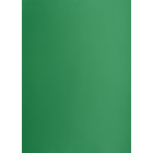 Karton kolorowy Creatinio B2 225g 25ark nr.63M c.zielony 400150339 TOP-2000