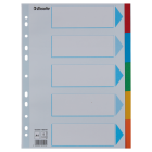 Przekładki kartonowe, kolorowe z kartą opisową A4, Esselte, 5 kart