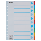 Przekładki kartonowe, kolorowe z kartą opisową A4, Esselte, 10 kart